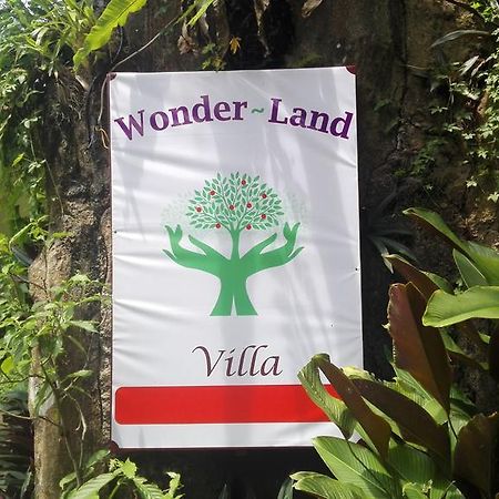 Wonder-Land Villa Ubud Kültér fotó