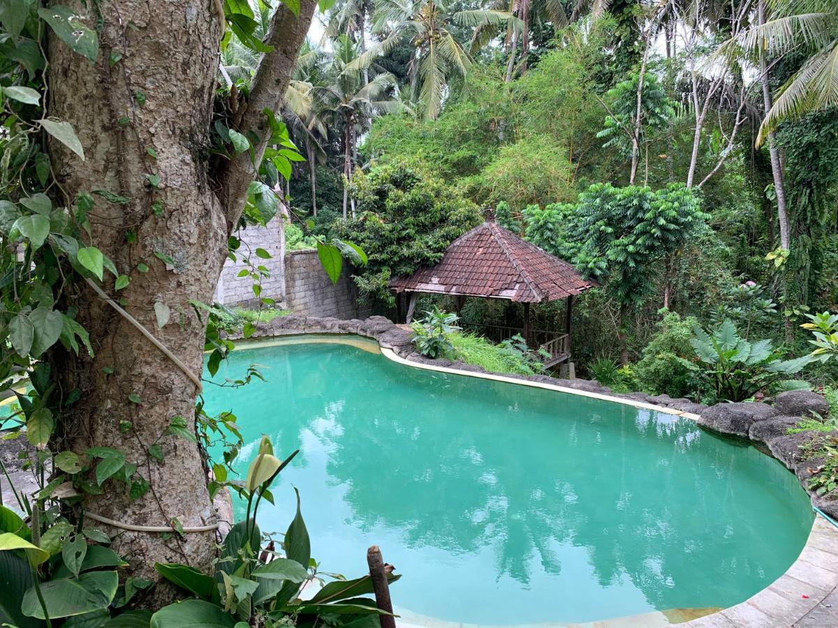 Wonder-Land Villa Ubud Kültér fotó